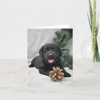 Carte De Remerciements Chiot noir de Noël Labrador Retriever