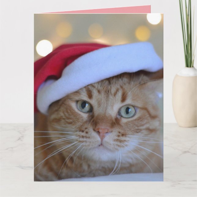 CARTE DE REMERCIEMENTS CHRISTMAS CUTE GINGER CHAT GREECART (Devant)