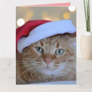 CARTE DE REMERCIEMENTS CHRISTMAS CUTE GINGER CHAT GREECART