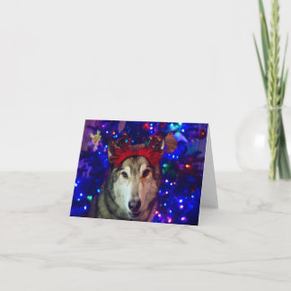Carte De Remerciements Christmas Husky