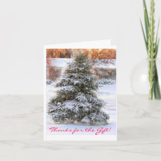 Carte De Remerciements Christmas tree in sunset, Thanks for the Venin !