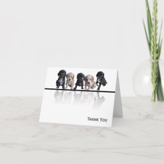 Carte De Remerciements Cinq Cocker noir et tan Chiots espagnols