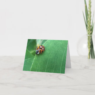 Carte De Remerciements Coccinelle de printemps sur feuille verte