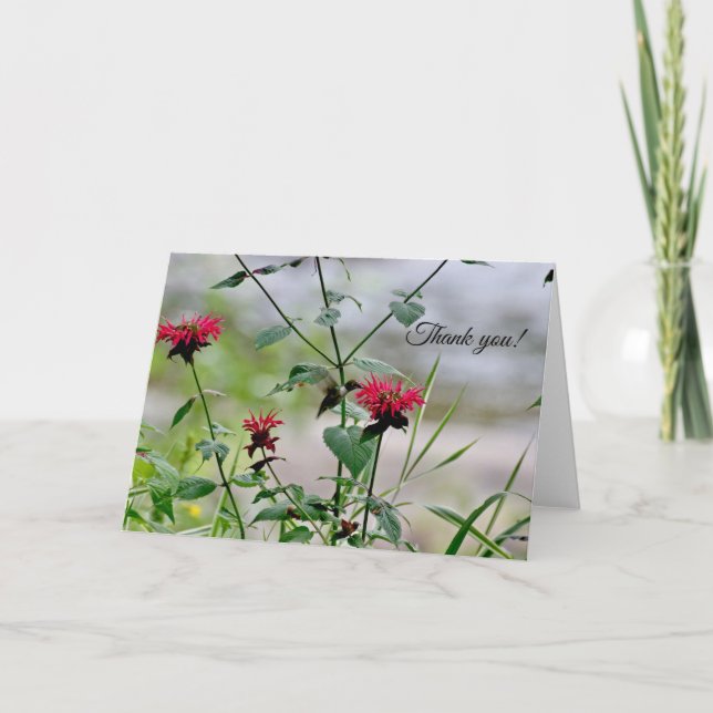 Carte De Remerciements Colibri aux fleurs - ADK (Devant)