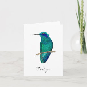 Carte De Remerciements Colibri mexicain