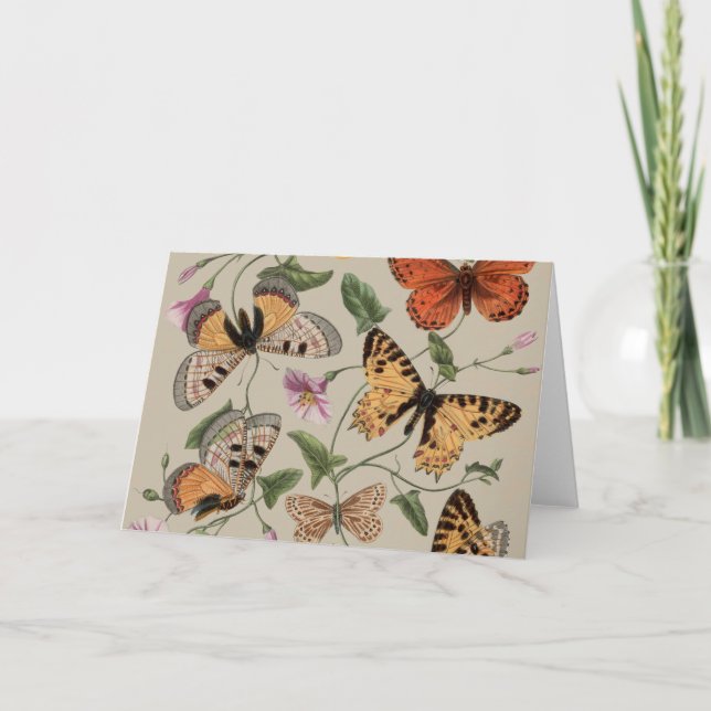 Carte De Remerciements Collection de la papillon Moth Nature Dessin (Devant)