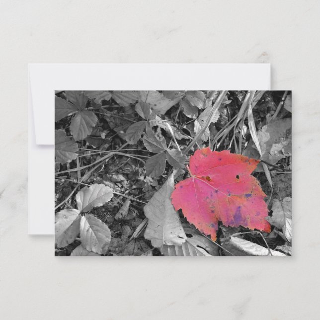 Carte De Remerciements Color Pop Red Leaf (Devant)