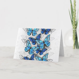 Carte De Remerciements Composition des White and Blue Butterflies