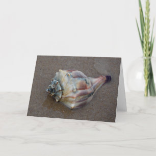 Carte De Remerciements Conch Shell sur la plage