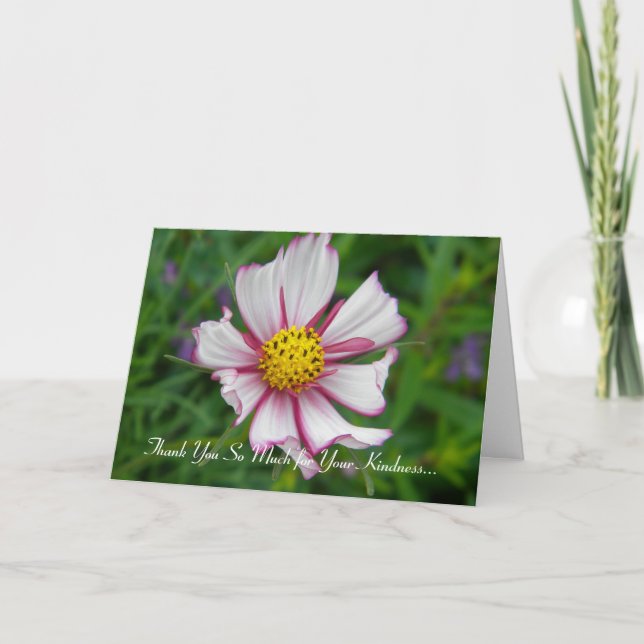 Carte De Remerciements Cosmos magnifique (Devant)