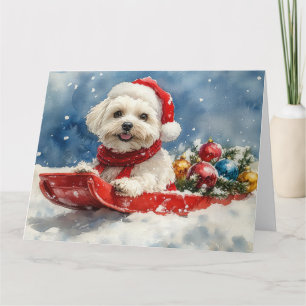 Carte De Remerciements Coton De Tulear en Luge Laissez tomber la neige de