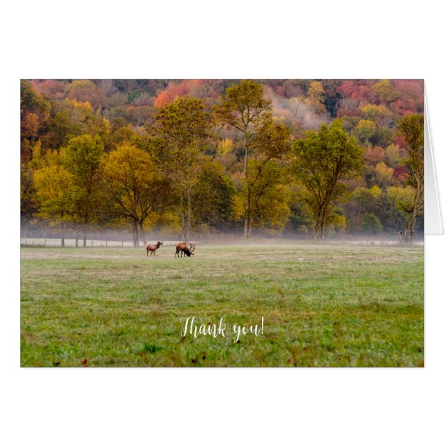 Carte de remerciements Couple Elk (Devant Horizontal)