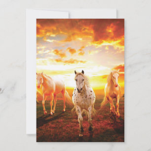 Carte De Remerciements Coussin de chevaux au coucher du soleil