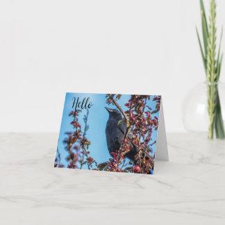 Carte De Remerciements Crow Says Hello 