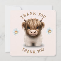 Cute Highlands Scottish Cow