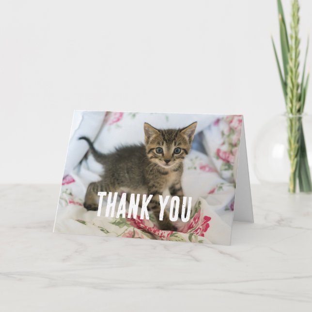Carte De Remerciements Cute Tabby Kitten À L'Air Surpris (Devant)
