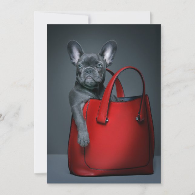 Carte De Remerciements Cutest Baby Animals | French Bulldog in Handbag (Devant)