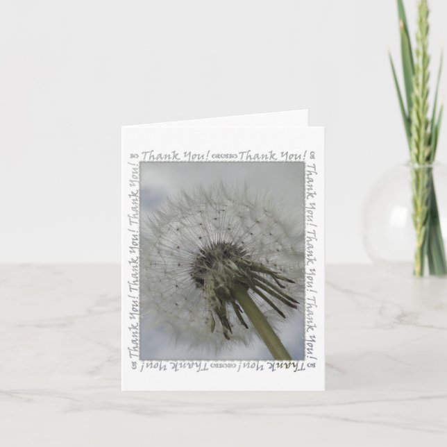 Carte de remerciements Dandelion (Devant)