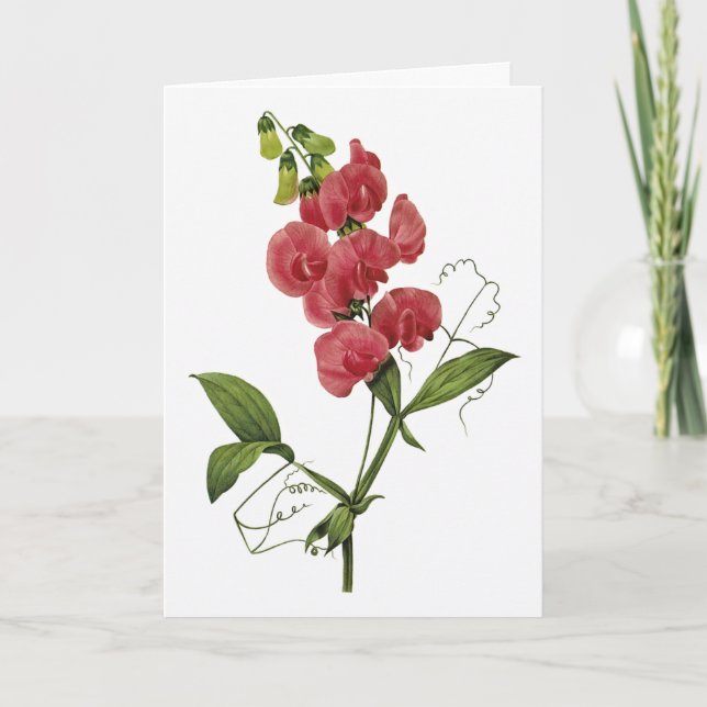 Carte de remerciements d'aquarelle de pois doux (Devant)
