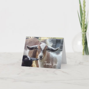 Carte de remerciements de chèvre