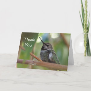 Carte de remerciements de colibri