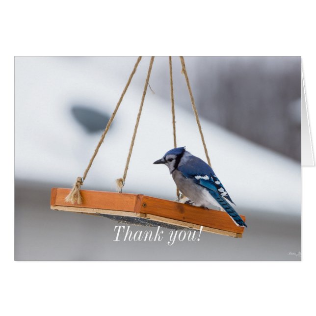 Carte de remerciements de déjeuner Blue Jay (Devant Horizontal)