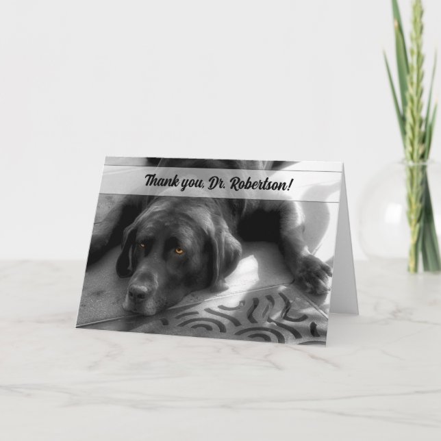 Carte De Remerciements de Dog Labrador Retriever Vétérinaire (Devant)