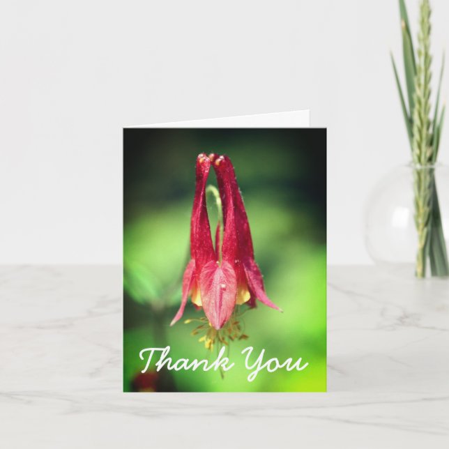 Carte de remerciements de la fleur de la colonne r (Devant)