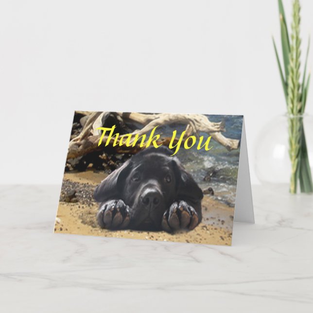 Carte de remerciements de labrador retriever (Devant)