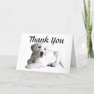 Carte de remerciements de labrador retriever