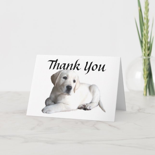 Carte de remerciements de labrador retriever (Devant)