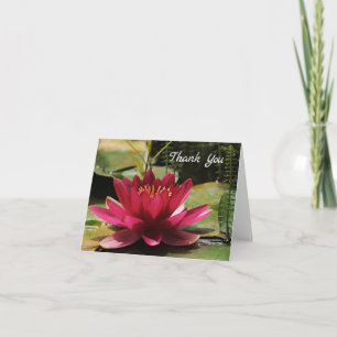 Carte de remerciements de Lily d'eau rose de Fuchs