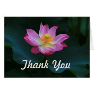 Carte de remerciements de Lotus, horizontal