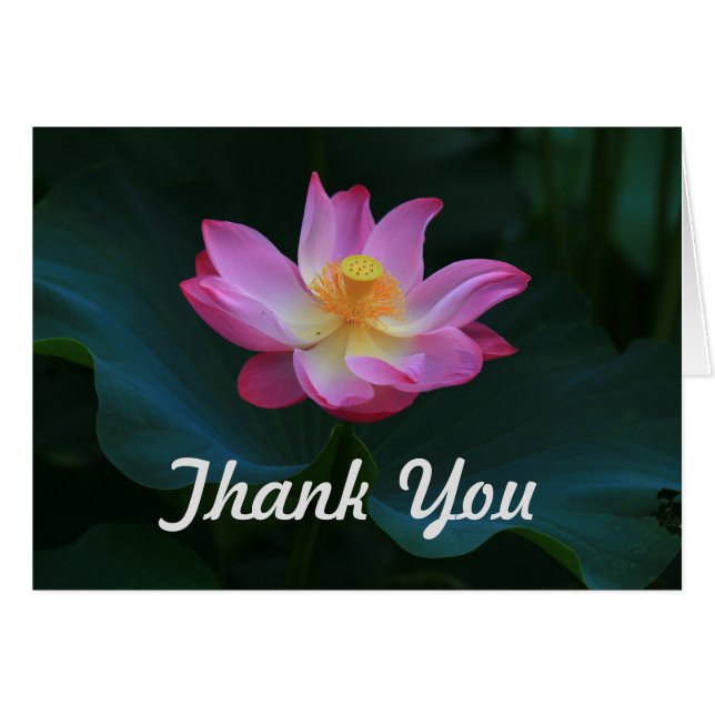 Carte de remerciements de Lotus, horizontal (Devant horizontal)