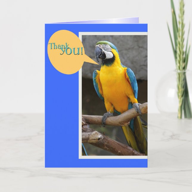 Carte de remerciements de Parrot (Devant)