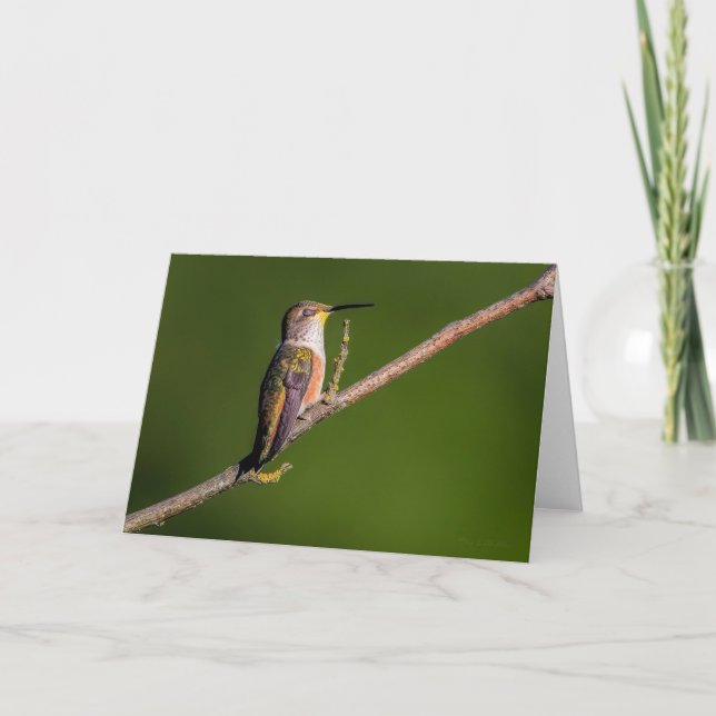 Carte de remerciements de sommeil des colibris rou (Devant)