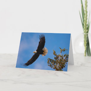 Carte de remerciements de vol de Bald Eagle