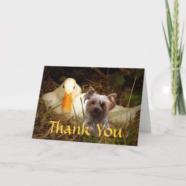 Carte de remerciements de Yorkshire Terrier avec (Devant)