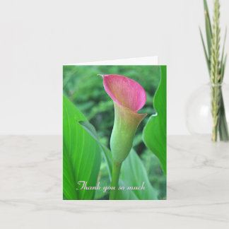 Carte de remerciements de zantedeschia