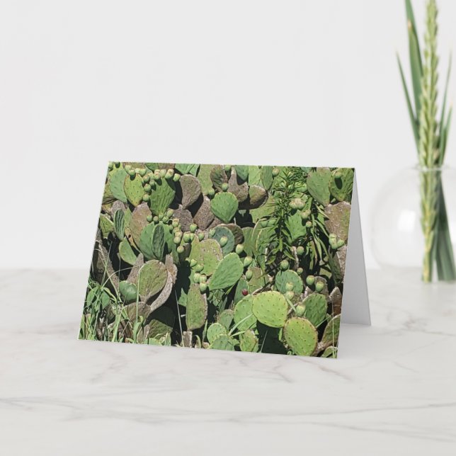 carte de remerciements des "cactus de la côte Est" (Devant)