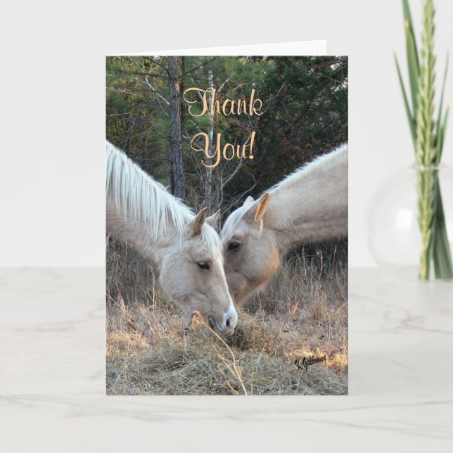 Carte de remerciements des chevaux (Devant)