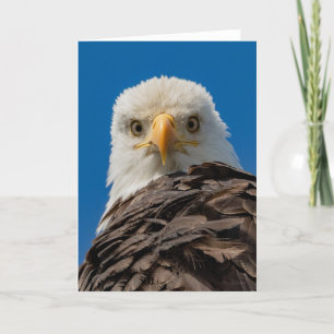 Carte de remerciements des yeux d'aigle chauve