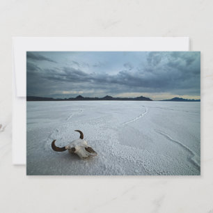 Carte De Remerciements Deserts   Bonneville Salt Flats Utah