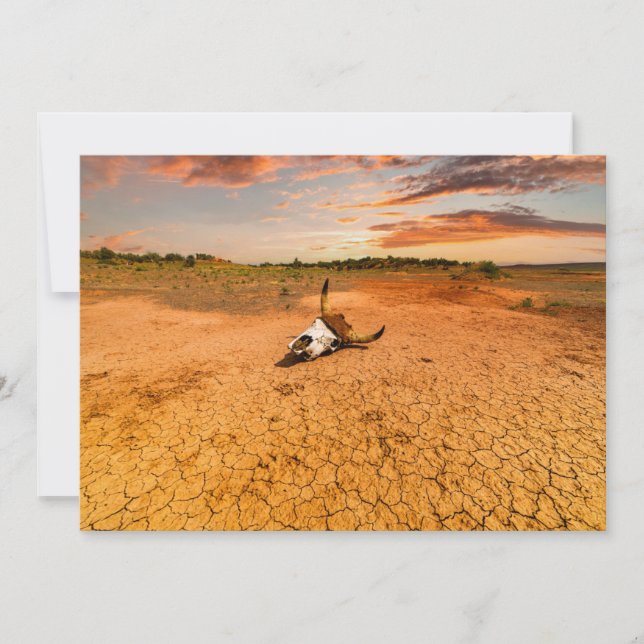 Carte De Remerciements Deserts | Desert with Cow Skull (Devant)