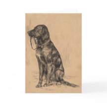 Dessin de chien du Labrador
