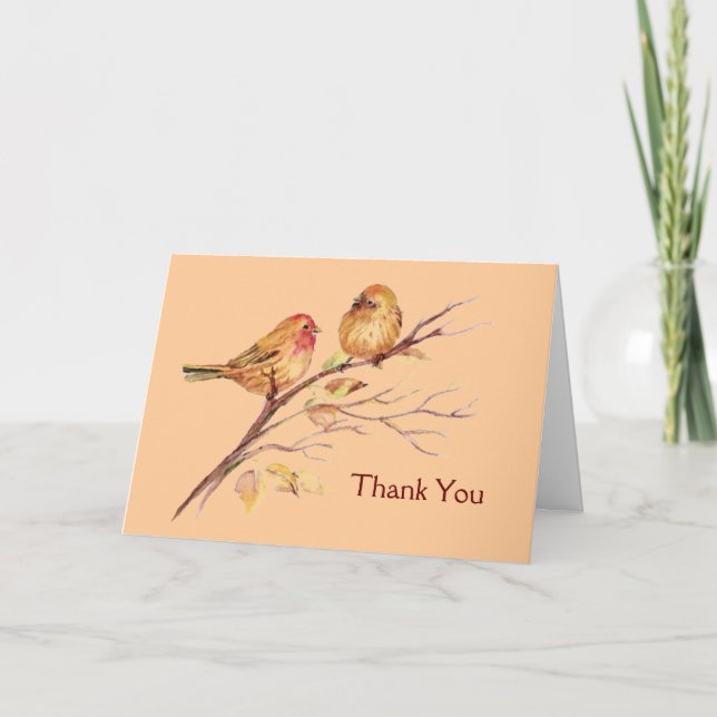 Carte De Remerciements Deux Petits Éperviers D'Oiseaux Parlent Brown Natu (Devant)