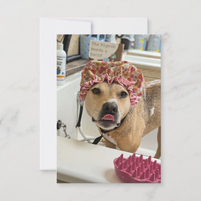 Carte De Remerciements Dirty Chien Chien Puppy Bain Temps drôle costume c (Devant)