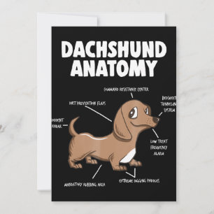Carte De Remerciements Don de chien  Anatomie Dachshund Funny Weiner