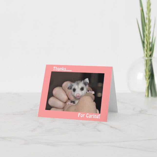 Carte de remerciements d'opossum (Devant)