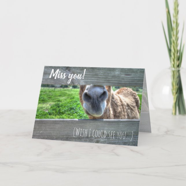 Carte De Remerciements Drôle Donkey "I Miss You" Blu (Devant)